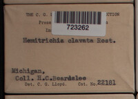 Image Associated With the Occurence